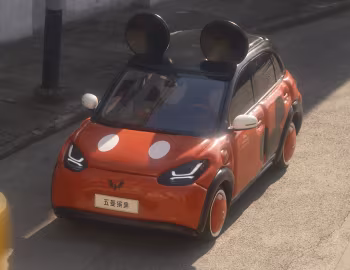 Wuling Bin Guo "Mickey Mouse" '2024