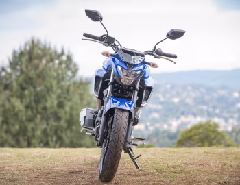 Yamaha FZ25 Fazer '2017–pr.