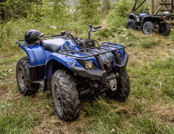 Yamaha Grizzly 450 EPS '2015–pr.