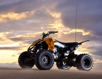 Yamaha YFZ450R "60th Anniversary" '2016