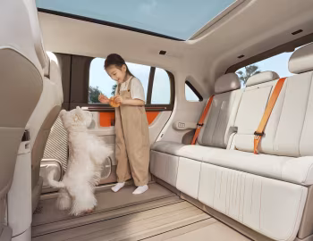 Interior Zeekr Mix '2024–pr.