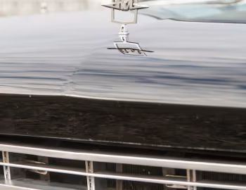 Mascote ЗиЛ-117 '10.1971–10.1976